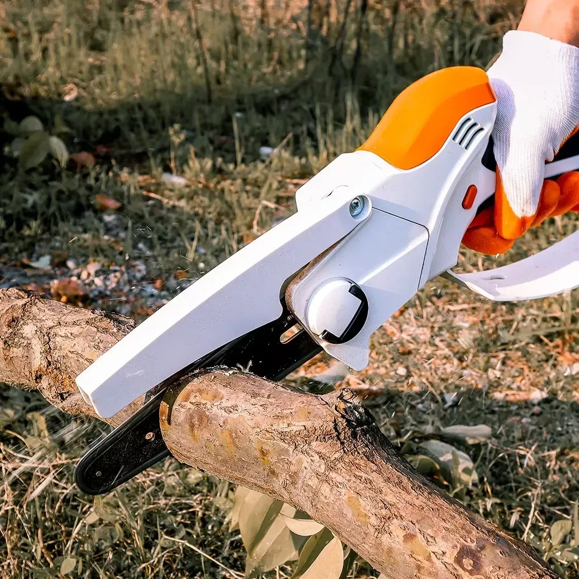 S276b37c8538f4f6d8b87151df09edd45R